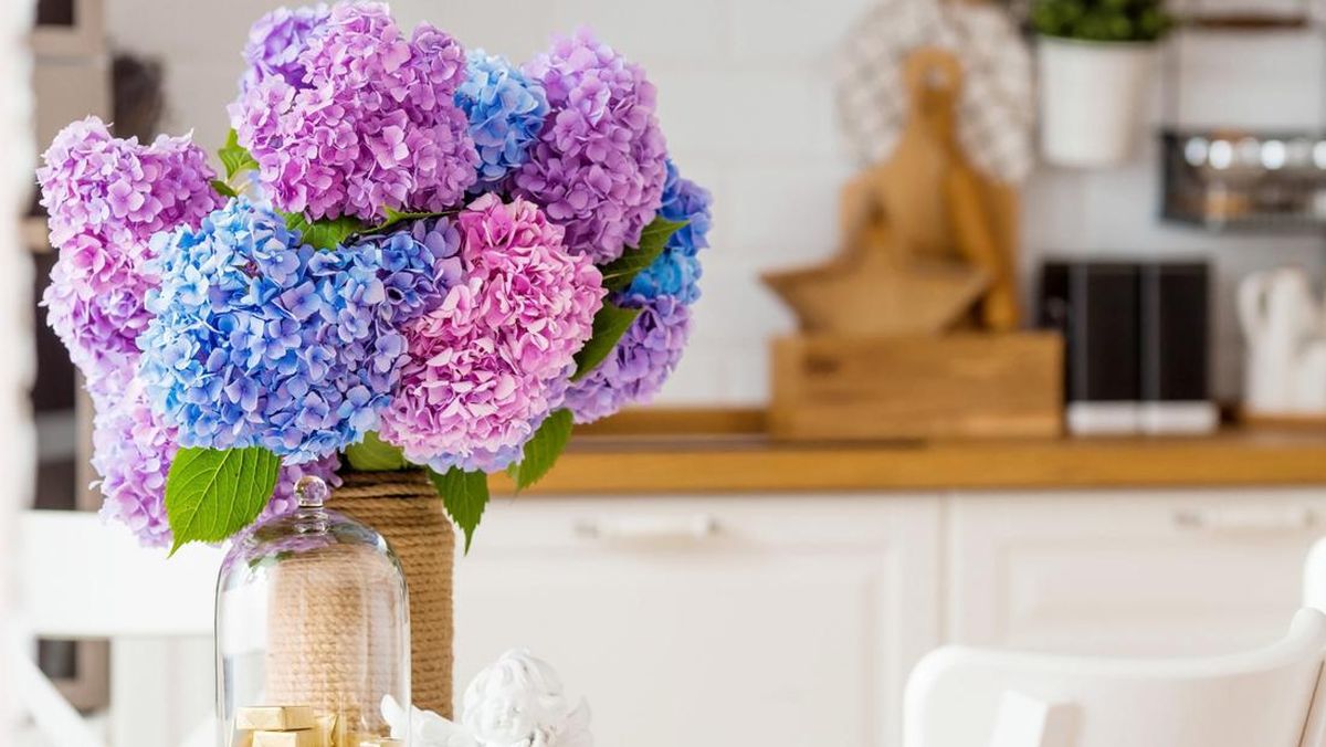 Sentuhan Kecil yang Membantu Hari Mengalir dengan Lebih Teratur dan Ringan